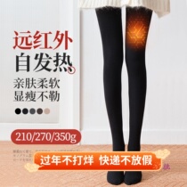 Japanese hot stovepipe pantyhose pressure pantyhose womens autumn and winter thickened plus velvet four-sided elastic black leggings women