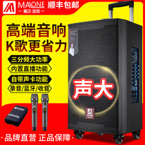 Manlong outdoor audio square dance Bluetooth high-power volume K song professional performance live mobile rod speaker