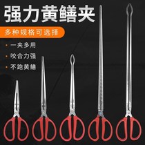 Clip crab clip control fisher yellow eel hurrying sea tool Stainless Steel Pliers of Stainless Steel Clamp Clay stainless steel Yellow eel pliers