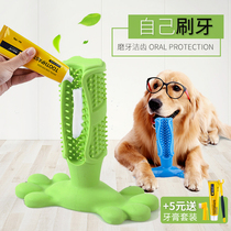 Dog toys resistant to bite molars teeth teeth bite glue play by yourself brush sticks golden hair fight medium and large dog pet supplies