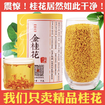 Guilin Golden Osmanthus Camellia dried Guangxi specialty fresh osmanthus with lilac leaves for consumption unless special bad breath
