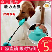 Dog toy suction cup pull ball large dog bite-resistant grinding teeth relief artifact border grazing golden retriever dog bite pet supplies