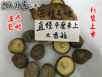 Xicun Guan Sister Lentinus Mushroom Three Gorges specialty 4cm large shiitake mushrooms new products on the market 500 grams from 5kg