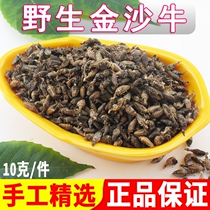 Jinsha cattle Chinese herbal medicine Guangxi wild lions golden sand cattle Maling worm 10G Non-impurity ground Gulu cattle sand cattle worm