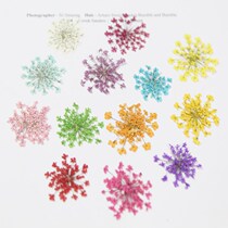 Lace Flower Snow Bead Flower Dried Flower Press Flower Nail Art Frame Aromatherapy Candle DIY Handmade Crystal Epoxy Jewelry