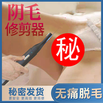 Shaver private parts male ladies universal privacy anal underarm leg hand eyebrow body hair pubic hair trimming scraper knife