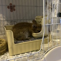 Rabbit toilet potty anti-spray urine pet chinchilla mouse free of sand urine basin pull feces rabbit supplies can be fixed