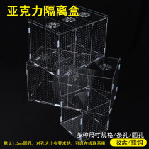Fish tank isolation box plate acrylic suction cup plus adhesive hook fish incubator aquarium small fry incubation breeding box multi-grid
