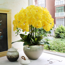 Modern minimalist PU hand-hand simulation butterfly Lan plastic flower decoration flower living-room fake flower potted decoration with upscale