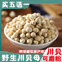 Buy five get one free Sichuan Aba wild Chuanbei Chuanbei Fritillaria Tibetan area excavated wild Chuanbei can grind Chuanbei powder 10 grams