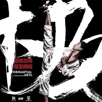 Extreme KICKING Silver Wings Taekwondo Training Tao Suit Children Taekwondo Road Suit Men and Women Dragon Team Same Tao