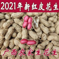 2021 fresh peanuts 5kg dried with Shell Guangxi high-quality red peanut farmers self-planted now dig wet