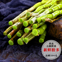 Fresh Dendrobium candidum 500g four or five years of Maple authentic Huoshan Dendrobium Huoshan dried dried dried Chinese medicinal materials
