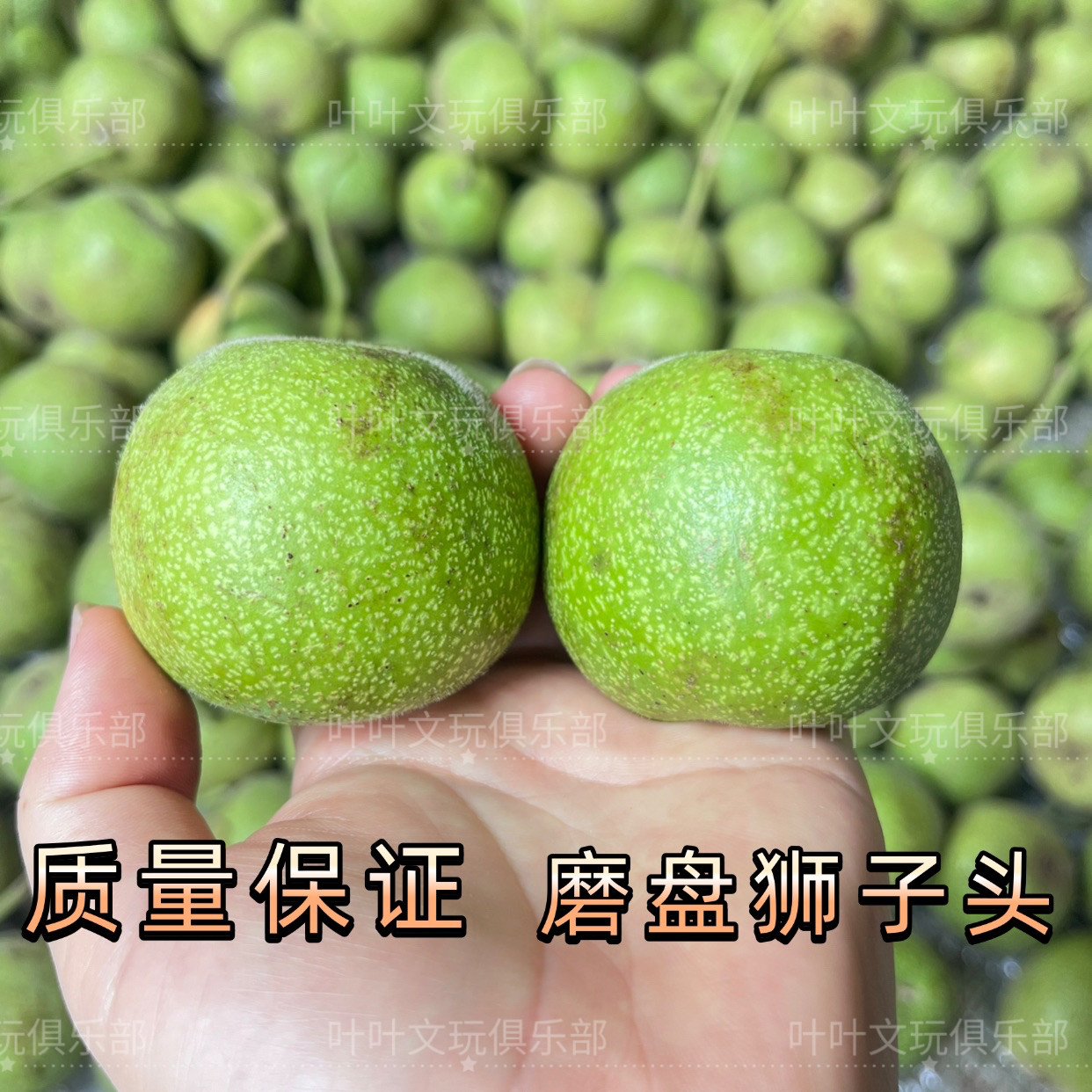赌青皮文玩核桃-赌青皮文玩核桃促销价格、赌青皮文玩核桃品牌- 淘宝