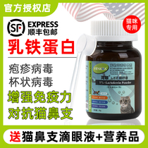 American Bay coffee meow Shukang cat nasal branch Cat herpes virus lactoferrin cat use to improve immunity goblet cat ringworm