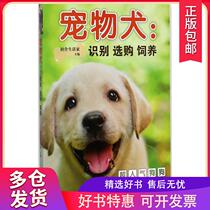 (Xinhua Bookstore) Pet Dog: Identification and Breeding 9787533552381 Fujian Science and Technology Press