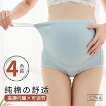Pregnant womens underwear adjustable elastic high waist belly cotton shorts in the head wear early third trimester