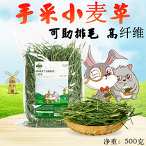 Jessie dried wheatgrass hay Rabbit Chinchilla Dutch pig forage Wheat new grass coarse fiber to help drain hair