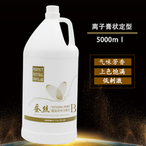 Hair Salon Large Barrel Ionic Bronzing Styling 2 Number of herbs washed straight cream 5000ml hairdresser Hairdresser Wholesaler