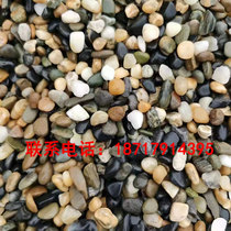 Shanghai yellow sand cement red brick melon sub - sheet heating back fill special round stone pebble 246 stone bean stone
