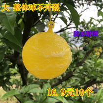 10 orchards Armyworm ball Fruit fly trap ball Citrus small solid fly Drosophila patch needle bee Peach grapefruit Passion fruit