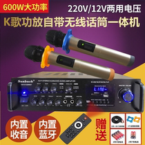 600W home wireless microphone power amplifier all-in-one karaoke high power conference Bluetooth with USB power amplifier 12V
