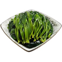 Xiapu specialty kelp seedlings tender seedlings super non-instant seafood bags cold dishes hot pot soup factory outlet