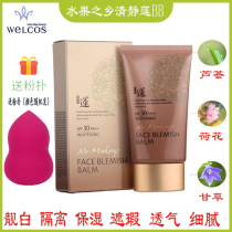 Korean Fruits Hometown Lotus BB cream Ontology Qingjing Multi-function Colorful BB Cream