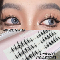 Sectional Thick And Small Devil Cos False Eyelashes New Hands Women Comic Eye Nature Emulation Light European and American Single-cluster Students
