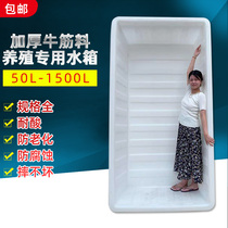 Thickened beef tendon plastic water tank rectangular aquaculture fish glue basin selling fish storage tank push truck large