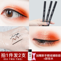 2 eyeliner pens female waterproof and sweat-proof long-lasting non-blooming Brown novice beginners fine head
