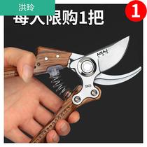Pot plant branch pruning scissors Gardening household bonsai making tools Flower pruning scissors Landscape