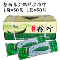 A full box of 50 packs of zongcotyledons vacuum fresh-keeping wet rice leaves fresh large rice leaves natural wild zongcotyledons 50 pieces of bags