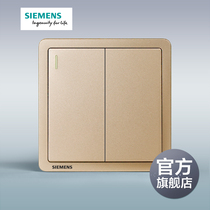Siemens switch socket to Dian Ri Yao Jin two open dual control with fluorescent panel official flagship store