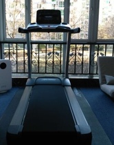 LifeFitness American Lijian Treadmill T3 Smart Home Electric Silent Multifunctional Original Imported