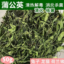  Drying Dandelion grass hay Pet rabbit Chinchilla Dutch pig health grass detoxification anti-inflammatory and sterilization 50g