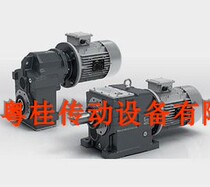 Italian TRANSTECNO INTERPRETATION Speed Reducer Transtecno Turbine worm reducer Sei Electric Motor