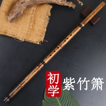 Xiao Musical Instruments Adult Students Professional Beginner Zero Foundation Self-Learning Six Holes Eight Holes GF Tune Purple Bamboo Cave to send teaching materials