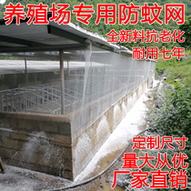 Insect net greenhouse pig farm pig pen farm special mosquito net custom thick anti-aging screen screen