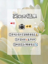 Buyer Show Collection Links to Tap with Single