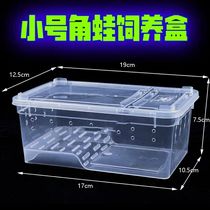 Horned frog feeding box Special amphibious feeding box scorpion centipede cave nest with sun table Climbing pet turtle with sun table tank
