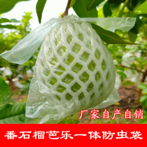Fruit pack Pomegranate Barlatte Cargonet bagging special protection anti-bug anti-transparent bag integrated plastic bag