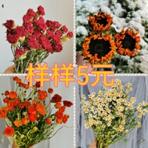 5 yuan large bunch of dried flowers bouquet Yunnan base rose carnation home decoration childrens handmade activities big promotion