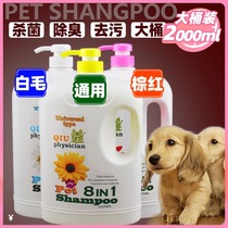 Dog shower gel sterilization deodorant mite Teddy Golden white hair Samoyed bath liquid supplies pet shampoo VAT