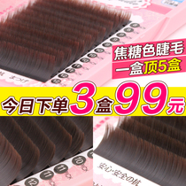 Caramel Color Color Single Root Cultivation Fake Eyelash Wind Blowing Air Graft Eyelash Double Pointed Water Mink Lashes Flat
