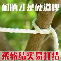 Rope Binding rope Nylon rope Wear-resistant outdoor braided greenhouse rope Pressure film rope Sunscreen anti-aging clothesline
