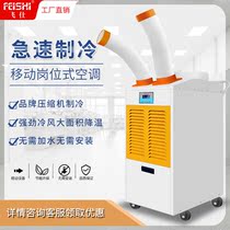 Feishi mobile air conditioner heating and cooling industrial air conditioner kitchen mall cooling integrated air conditioner without external refrigerator refrigerator