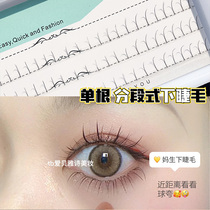Mom gave birth to eyelashes pineapple girl eyes false eyelashes patch segmented single root tuft fairy hair grafting Japanese supernatural