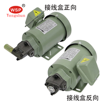 380V three-phase TOP12A13 pump head gear oil pump cycloid pump machine tool lubrication pump oil pump motor group Triangle Pump