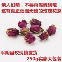 Authentic first crop New Shandong Pingyin Rose Tea Rose Bud dried flower tea low temperature sulfur-free 250g bulk